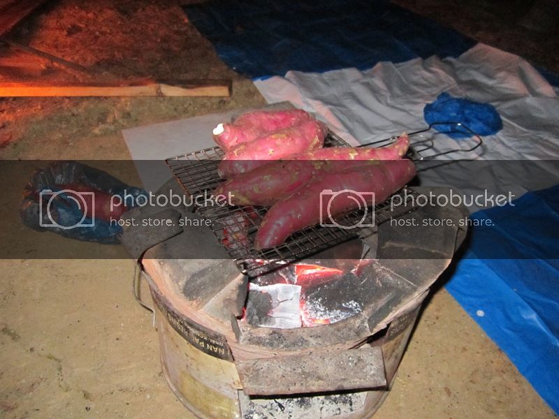 IMG_1105_zps6fc91e69.jpg