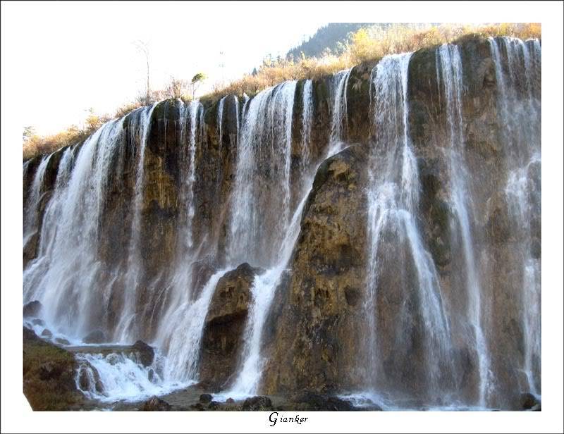 R-ShuzhengFall1.jpg