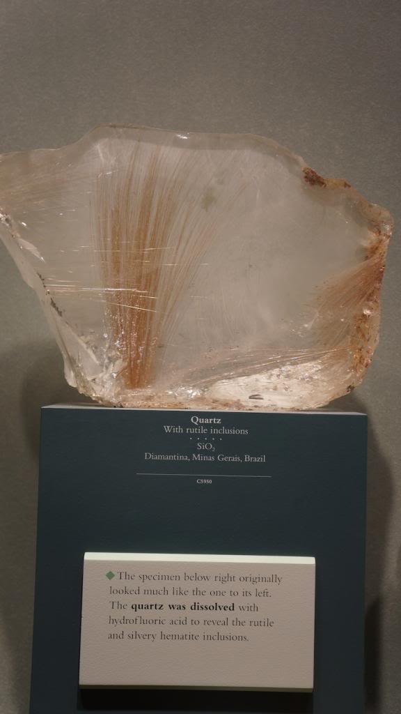 DSC05788_zps88e1acfb.jpg