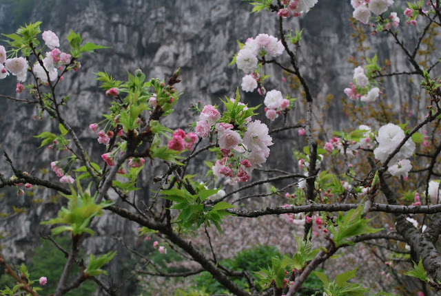 DSC_1855.JPG