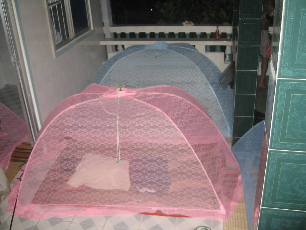 HnSn078.jpg