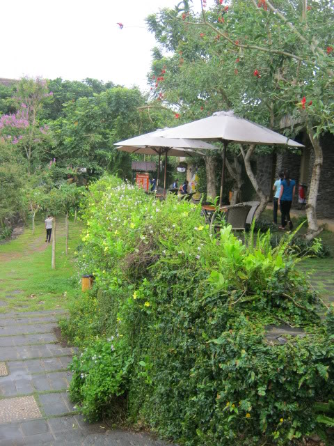 IMG_7208.jpg