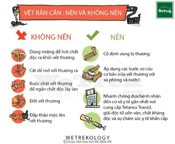 vet-ran-can-nen-va-khong-nen-natuhai-ghi-dau-hanh-trinh.jpg