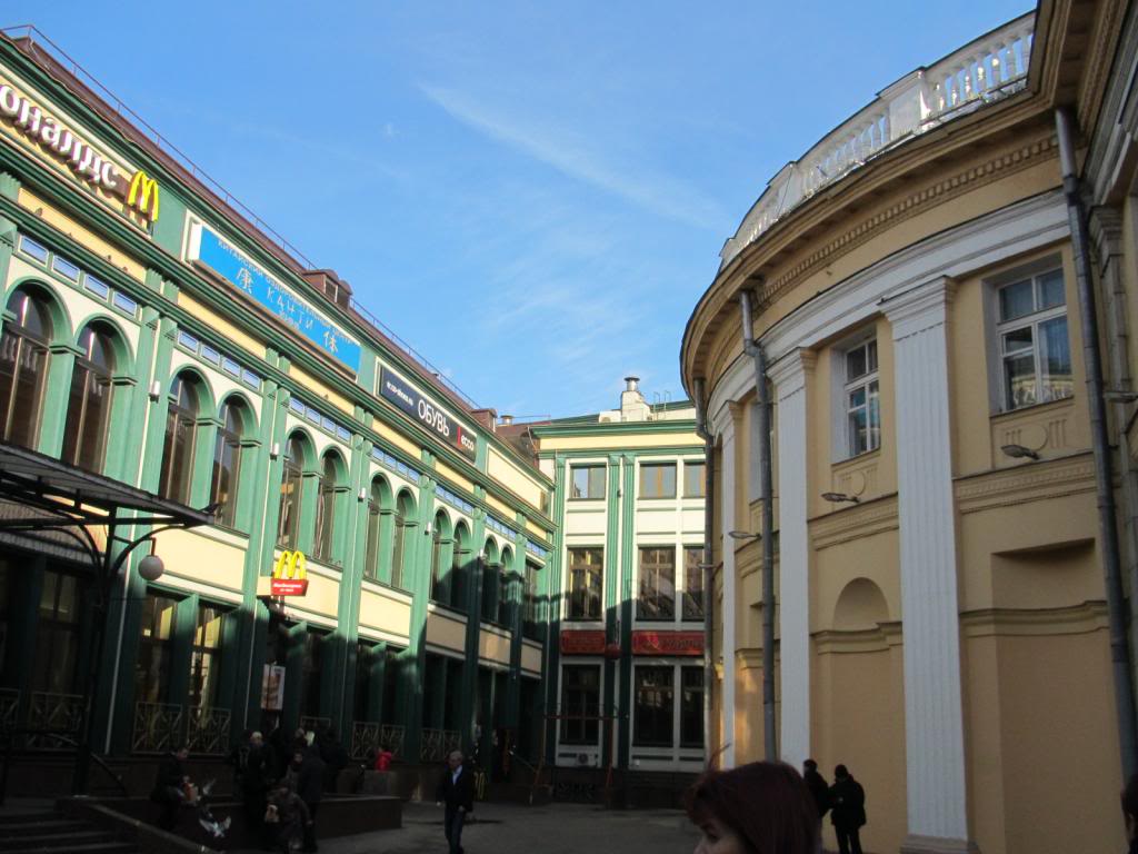 IMG_6761_zpsa8105c1d.jpg