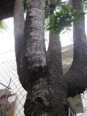 PhuQuoc673_resize.jpg