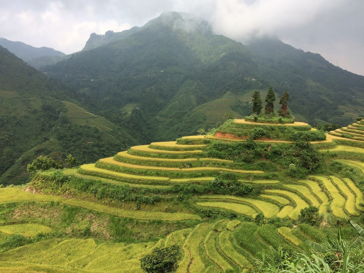 Đang tải chieulauthi_01.JPG…