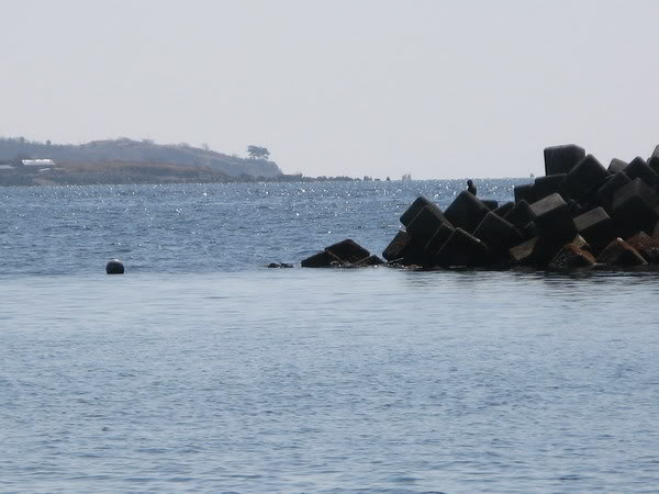 IMG_3644_resize.jpg