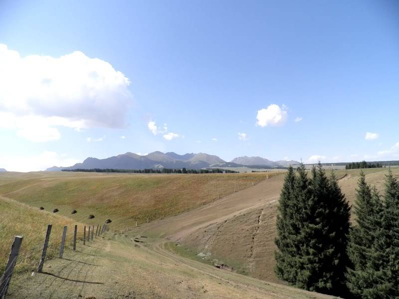 P9021886.jpg