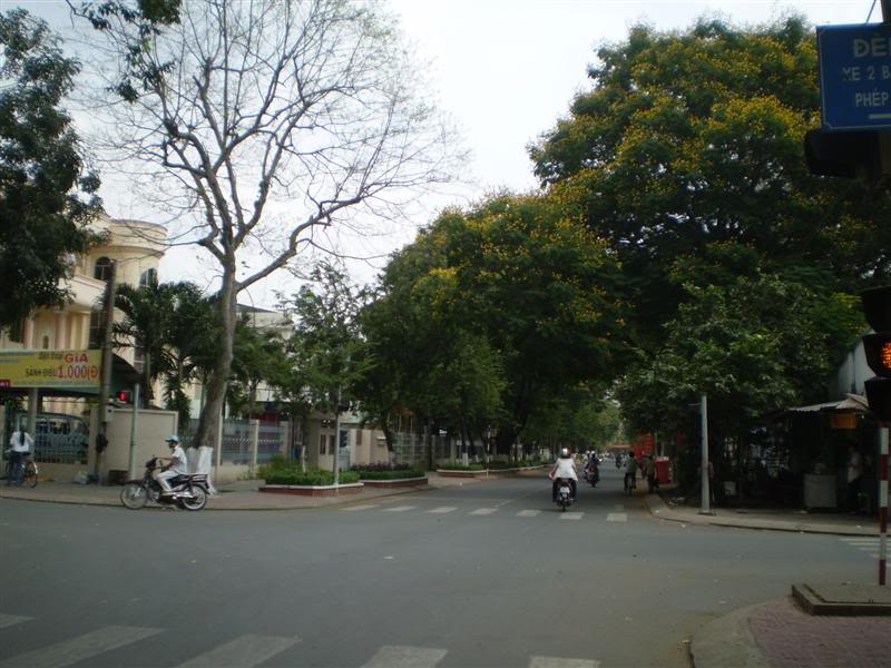 P1010549Medium.jpg