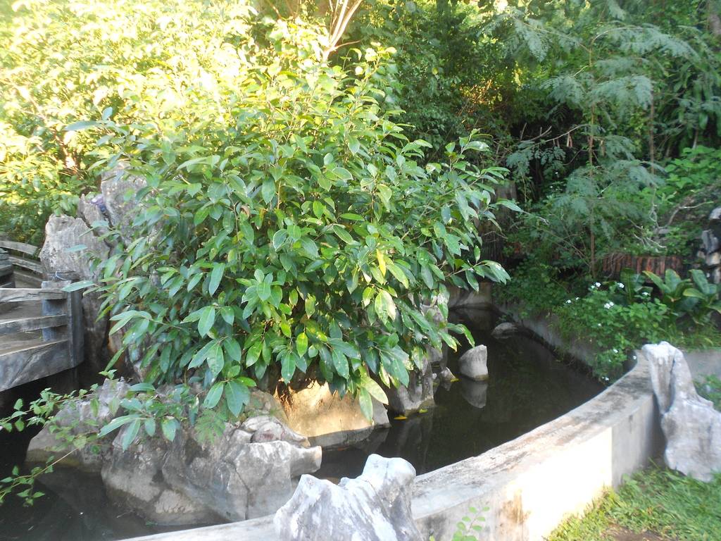 DSCN0266_zps632wdeam.jpg