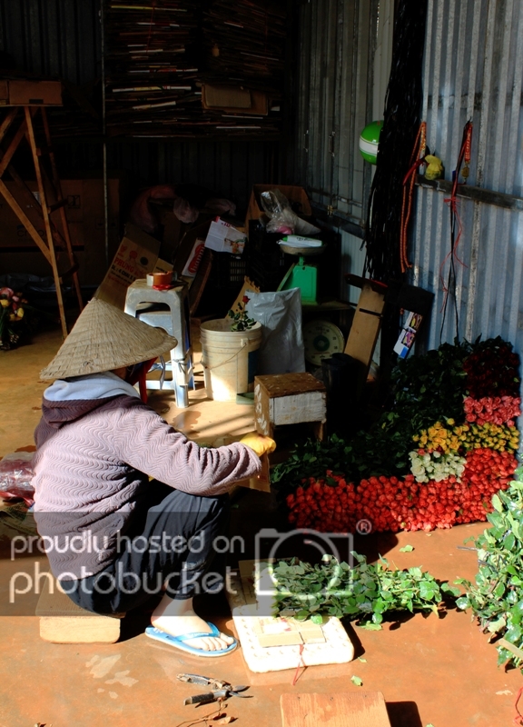 IMG_3027_zps4dd2f130.jpg