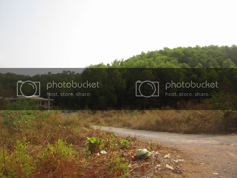 IMG_0453_zps4d017120.jpg