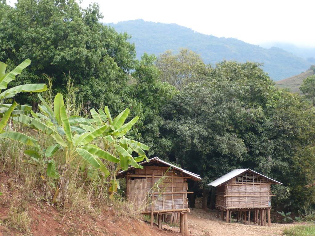 P1010784.jpg