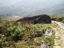 PC170114.JPG