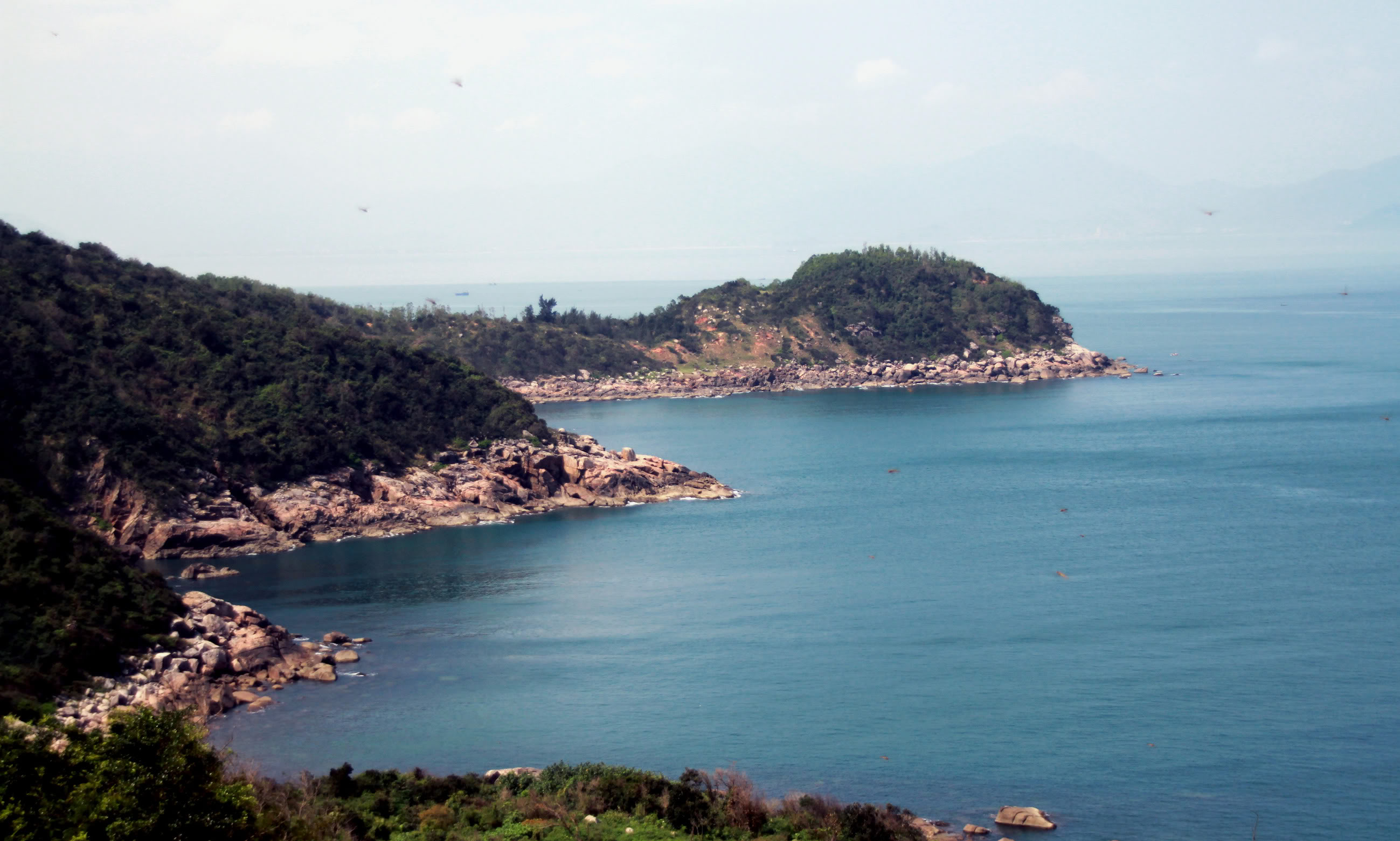 danang119.jpg