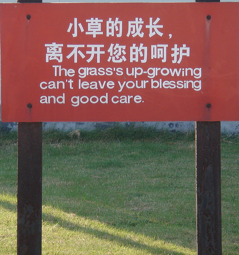 65123662_ab3c9720d7.jpg