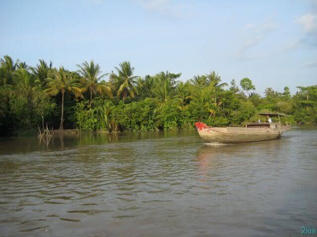 IMG_1296.jpg