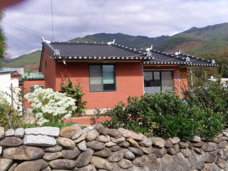 SDC10025.jpg