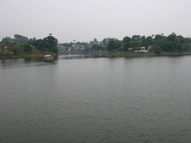 IMG_2245.jpg