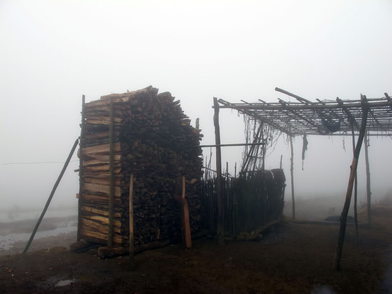 HongNgai2011276.jpg