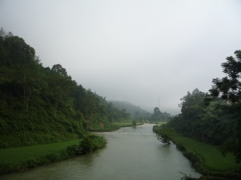 P1010799800x600.jpg