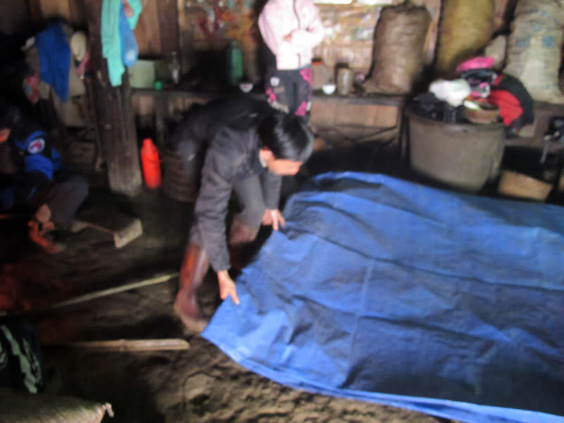 HongNgai2011431.jpg