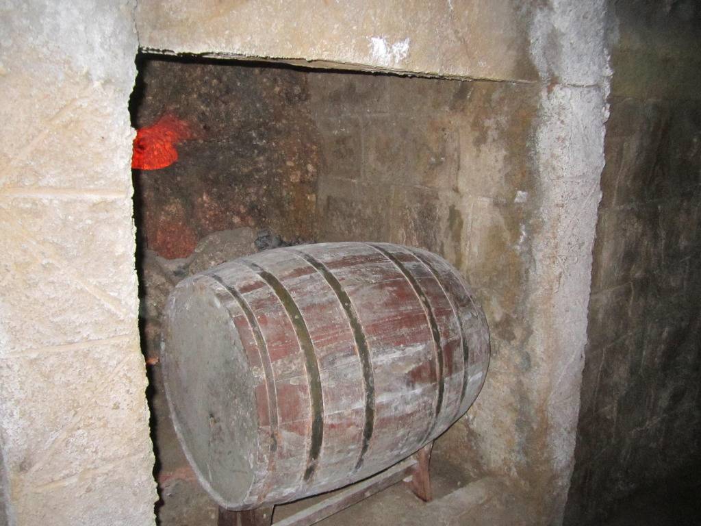 IMG_2845.jpg