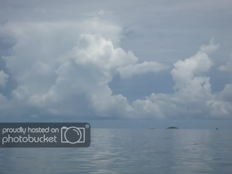 P1010433DesktopResolution800x600.jpg