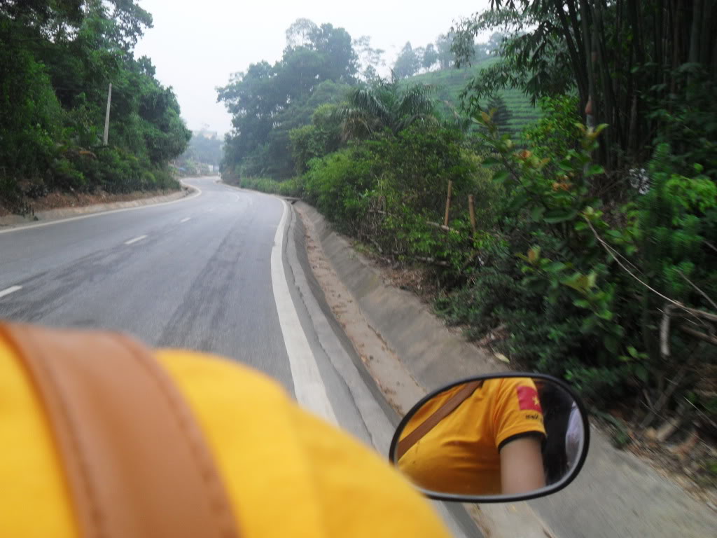 SDC18450.jpg