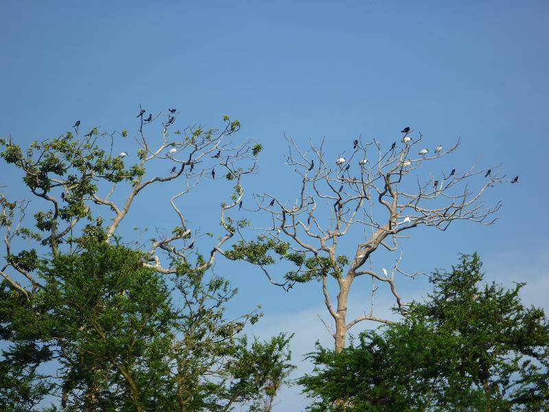 P1010143.jpg