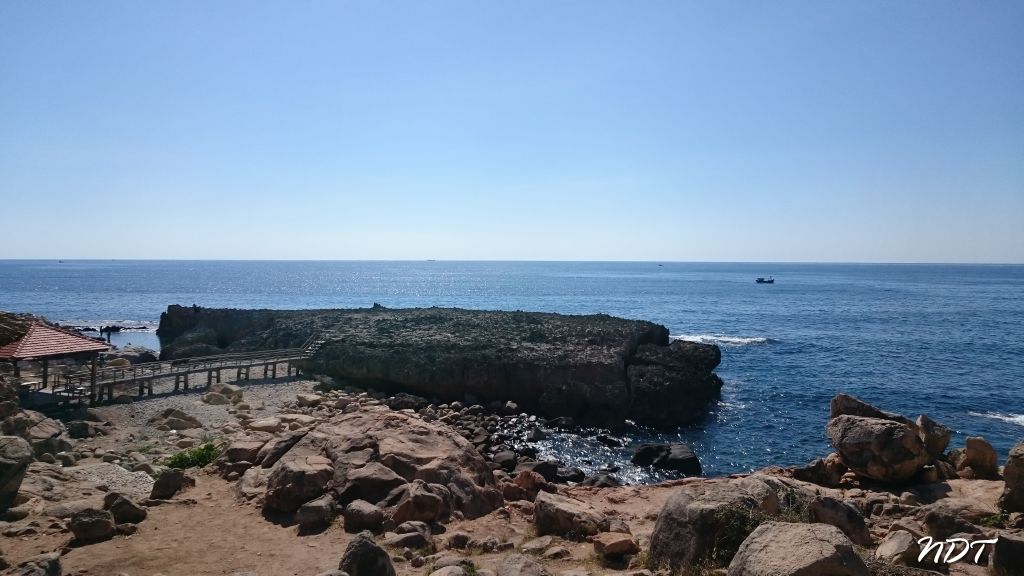 DSC_3998.jpg