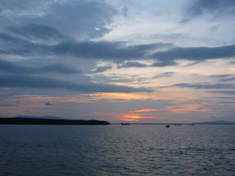 P1030442800x600.jpg