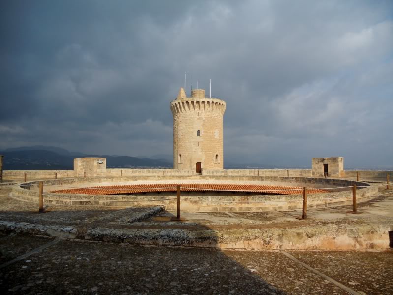 DSCN6620.jpg