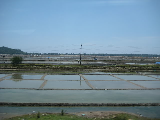 IMG_0092.jpg