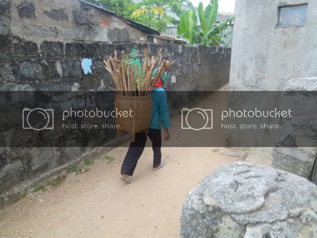 P1040620_resize.jpg