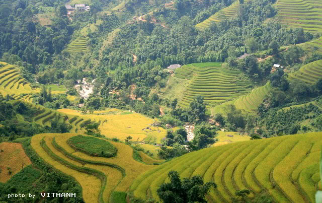 Hgiang21.jpg