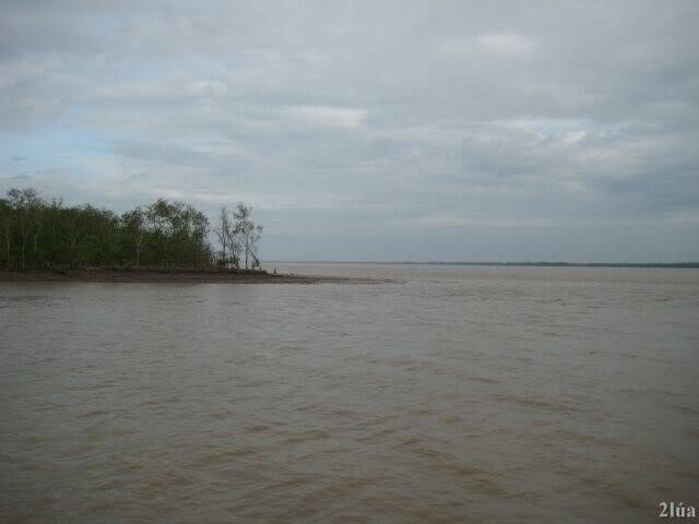 IMG_0871.jpg