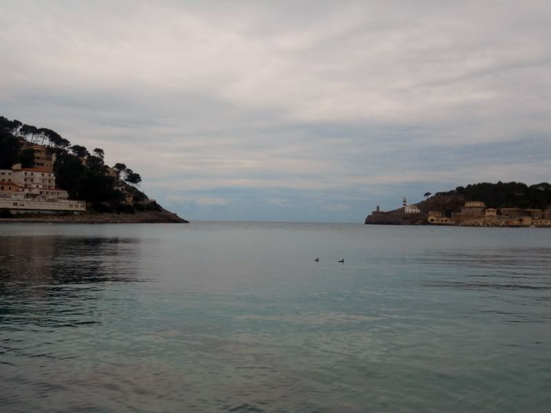 DSCN6166.jpg