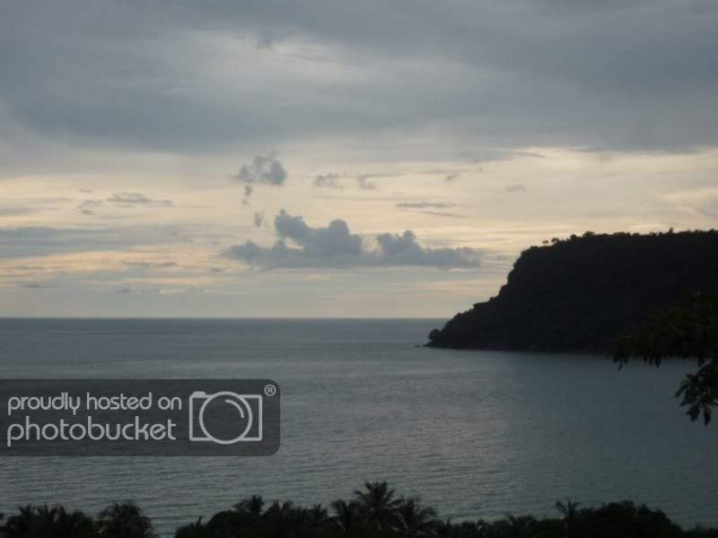 P1010482DesktopResolution800x600.jpg