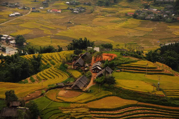 sDSC_6548.jpg