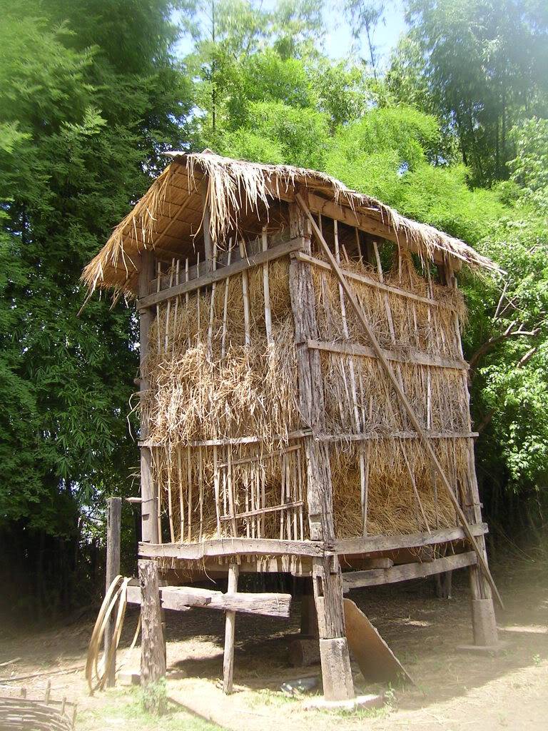 KOHTRONGNHAROM.jpg