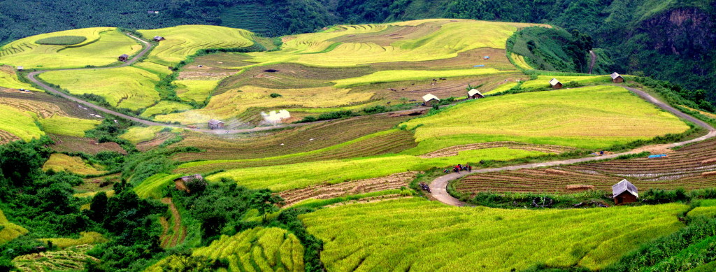 Panorama%2010_zps95f43400.jpg