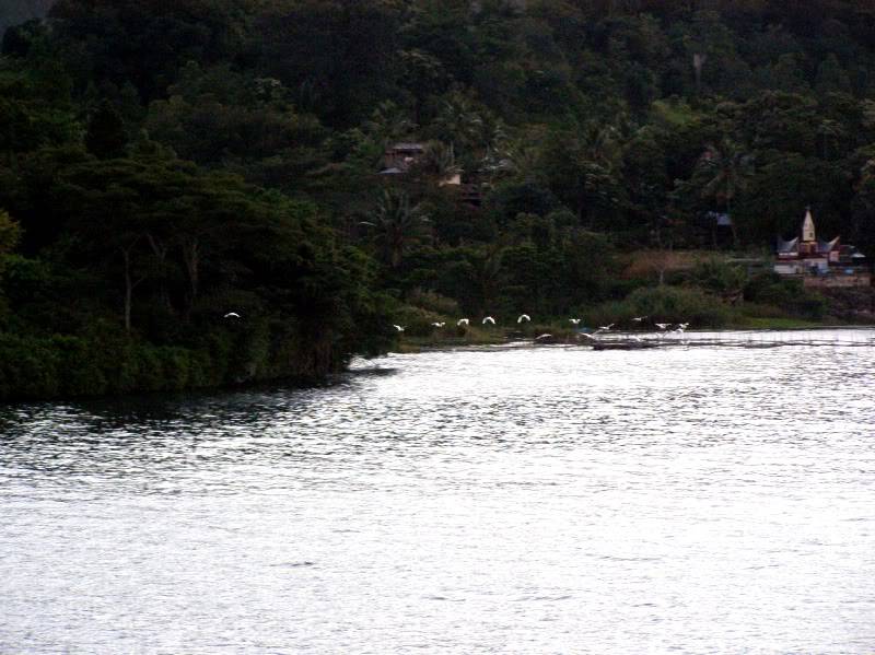 P7220417.jpg