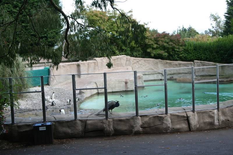 097-1.jpg