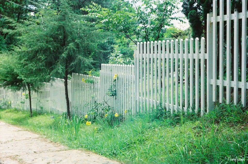 00018-20.jpg