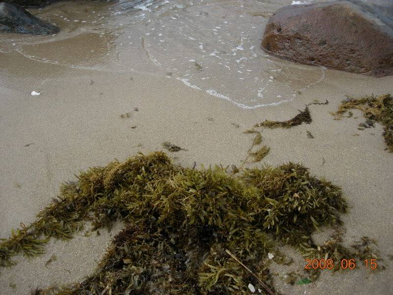 DSCN6842.jpg