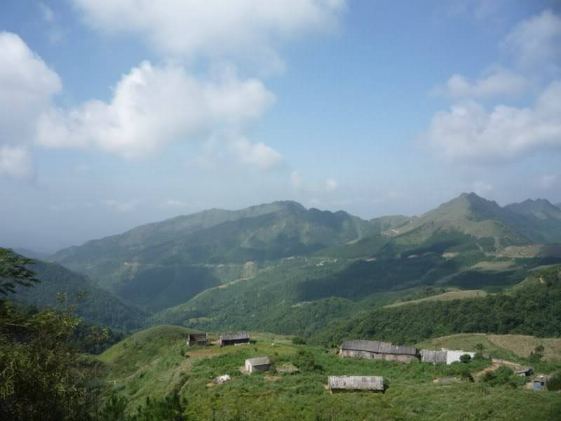 P1020039800x600.jpg