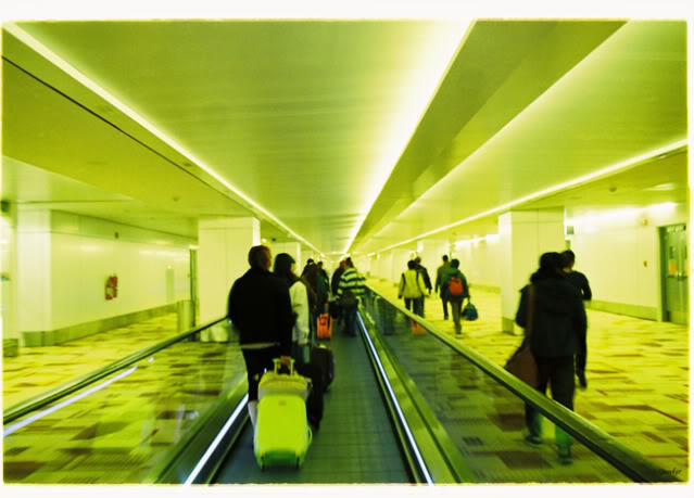 DL101.jpg