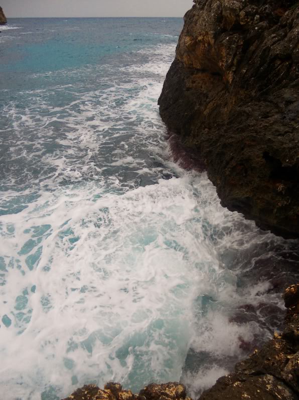 DSCN6421.jpg