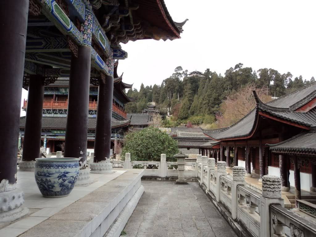 DSC01712.jpg